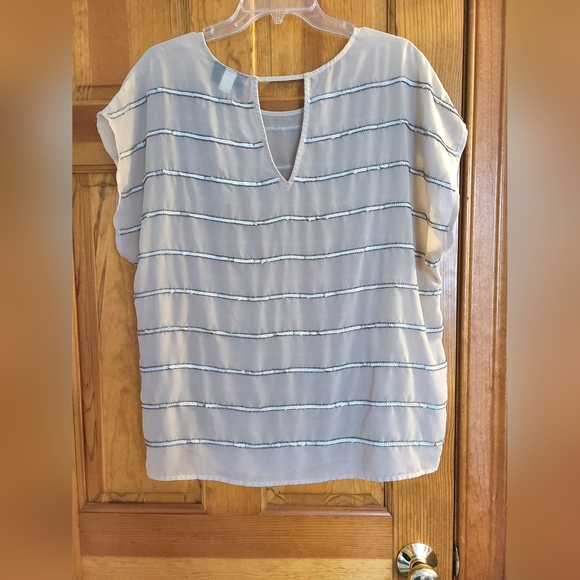 BOGO Lane Bryant Short Sleeve Sheer Beaded & Sequin Striped Top size 14/16 - Picture 3 of 9